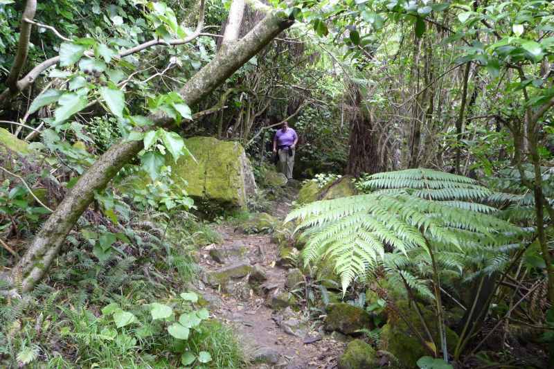 Nieuw-Zeeland 2011 - 0470